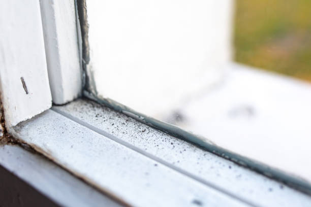Best Real Estate Mold Inspection  in Beaufort, SC